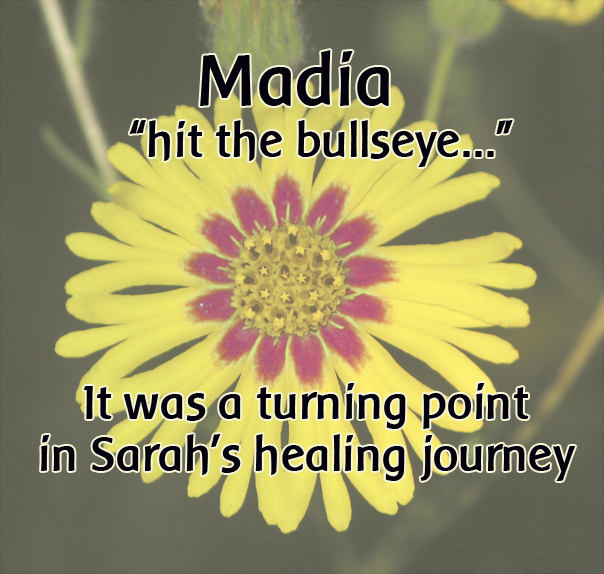 madia